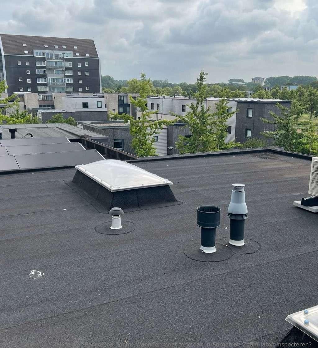 Dak Laten Inspecteren Bergen Op Zoom