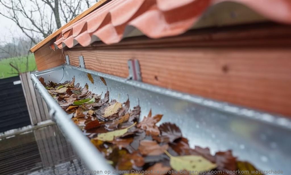 Dakgoot Reparatie Bergen Op Zoom