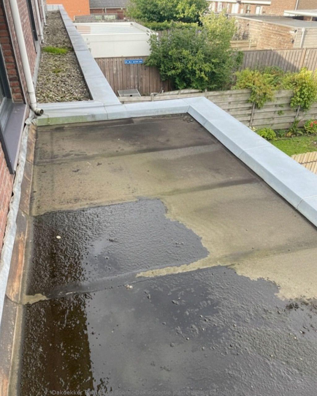Dakinspectie Platte Daken Bergen Op Zoom