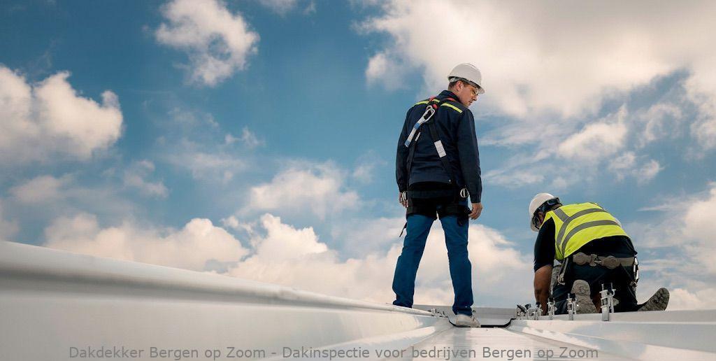 Dakinspectie Voor Bedrijven Bergen Op Zoom