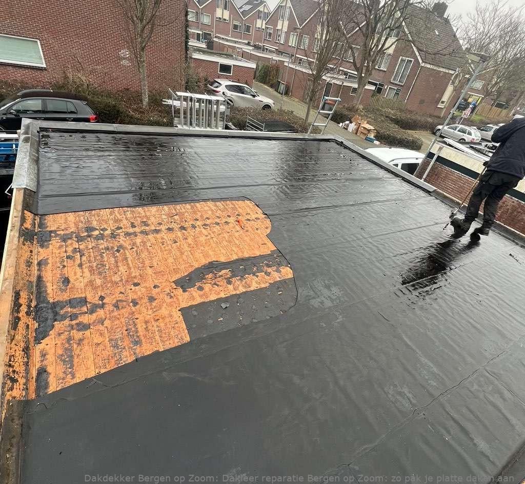 Dakleer Reparatie Bergen Op Zoom