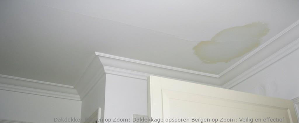 Daklekkage Opsporen Bergen Op Zoom