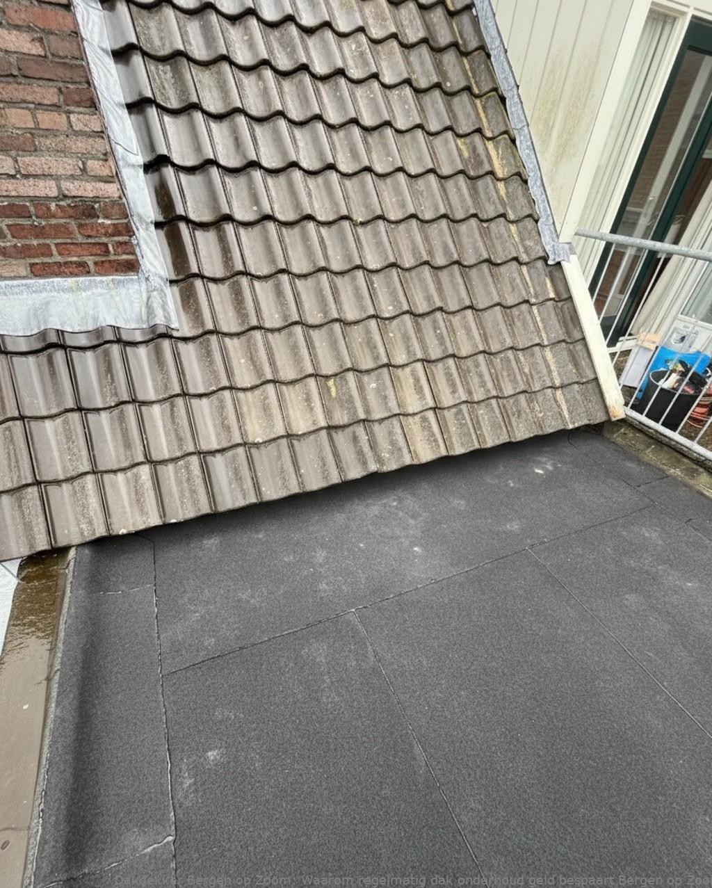 Onderhoud Dak Bergen Op Zoom 1