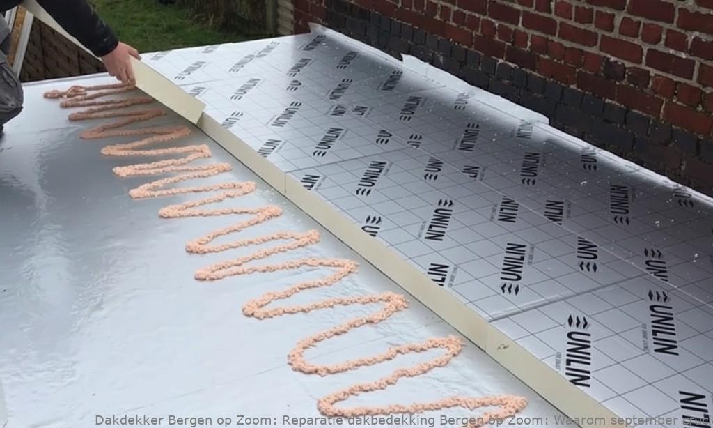 Reparatie Dakbedekking Bergen Op Zoom