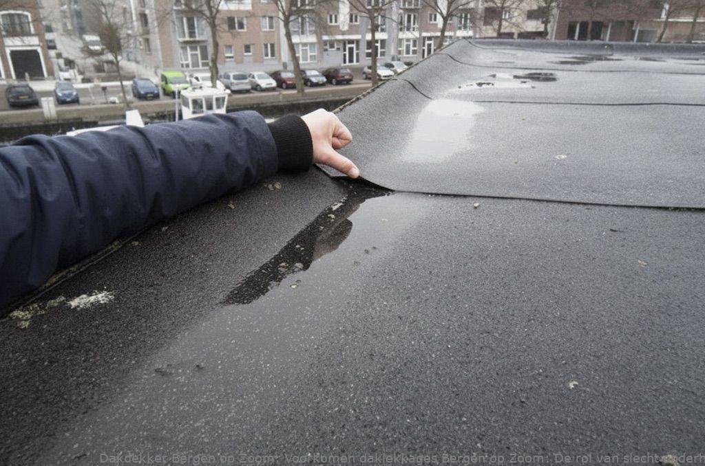 Voorkomen Daklekkages Bergen Op Zoom